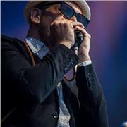 CLASES DE ARMÓNICA ONLINE Y PRESENCIALES